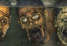 DVD : The Walking Dead saison 3