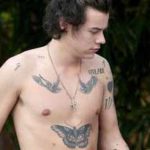 tumblr_mzmfr6xeIR1r50o10o1_610x250