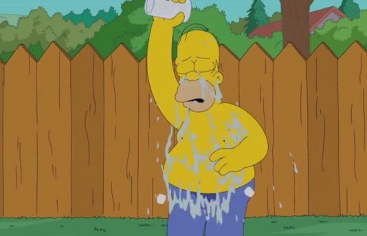ICE BUCKET CHALLENGE : Homer Simpson relève le défi Homer Simpson
