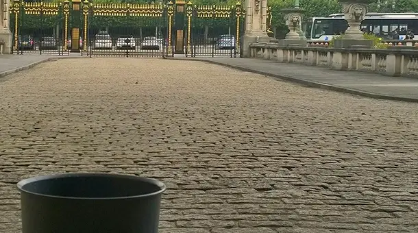 ICE BUCKET CHALLENGE : the Belgian Royal Palace, too !!