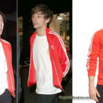 louis_adidas