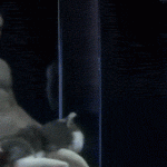 Måns-Zelmerlöw-naked-gif