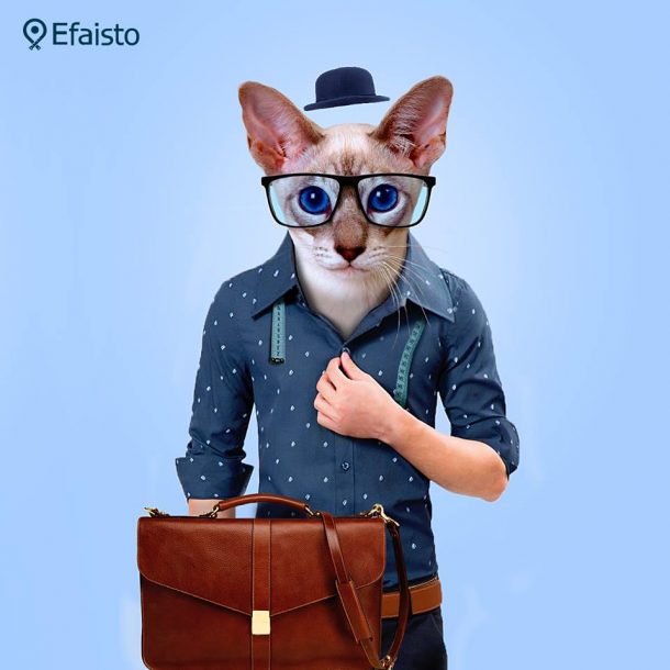 12565540_1163405033683299_6139607029895343603_n