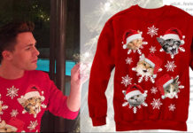 CHRISTMAS 2016 : Colton Haynes and the cat snowflakes