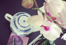 LIVRE DU JOUR : Tsubaki, le poids des secrets par Aki Shimazaki