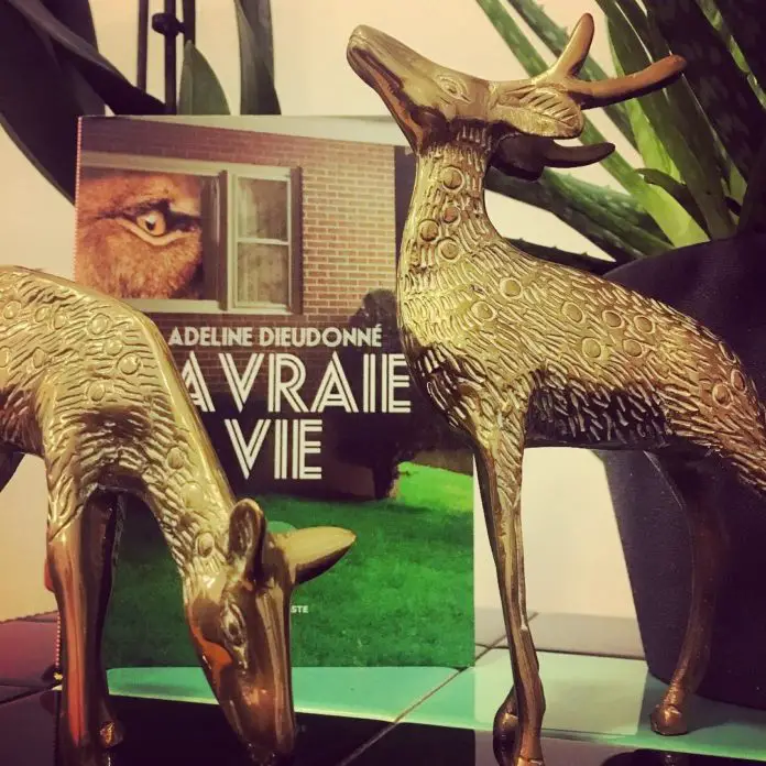 LIVRE : La vraie vie d’Adeline Dieudonné