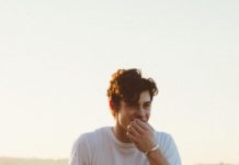 STYLE : Shawn Mendes in heaven