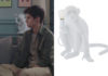 DEMAIN NOUS APPARTIENT : la lampe singe dans l’appart de Bart