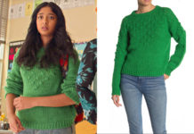 NEVER HAVE I EVER : Devi’s greeen sweater in S2E06