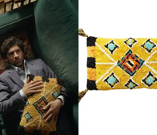 UN SI GRAND SOLEIL : le coussin que caresse Ludo dans l’épisode 689