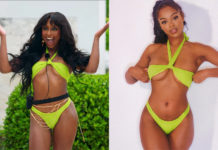 TOO HOT TO HANDLE : Bri’s green bikini in S6E01