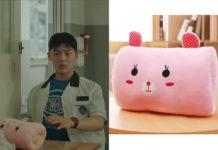 Weak Hero Class 1 : Ahn Soo-Ho’s hand warmer pillow